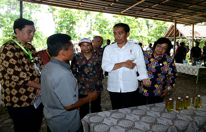 Presiden Joko Widodo saat meninjau hasil olahan pohon kayu putih oleh warga