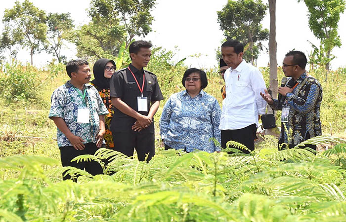 Presiden Joko Widodo menghadiri pelaksanaan program perhutanan sosial untuk pemerataan ekonomi di Desa Brani Wetan, Kecamatan Maron, Kabupaten Probolinggo