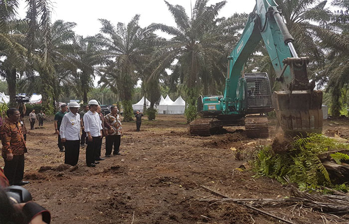 Jokowi saat pencanangan program Peremajaan Sawit Rakyat dan pembagian sertifikat tanah 