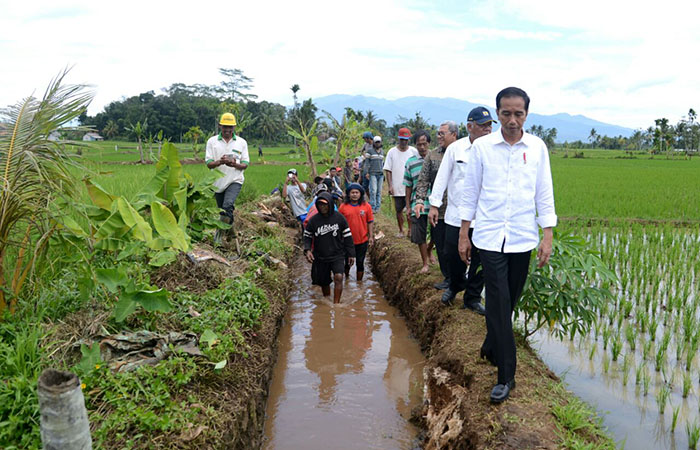 Presiden Joko Widodo meninjau pembangunan saluran irigasi tersier di Desa Kersanagara, Tasikmalaya