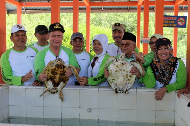 Pelepasan Tukik (anak penyu)