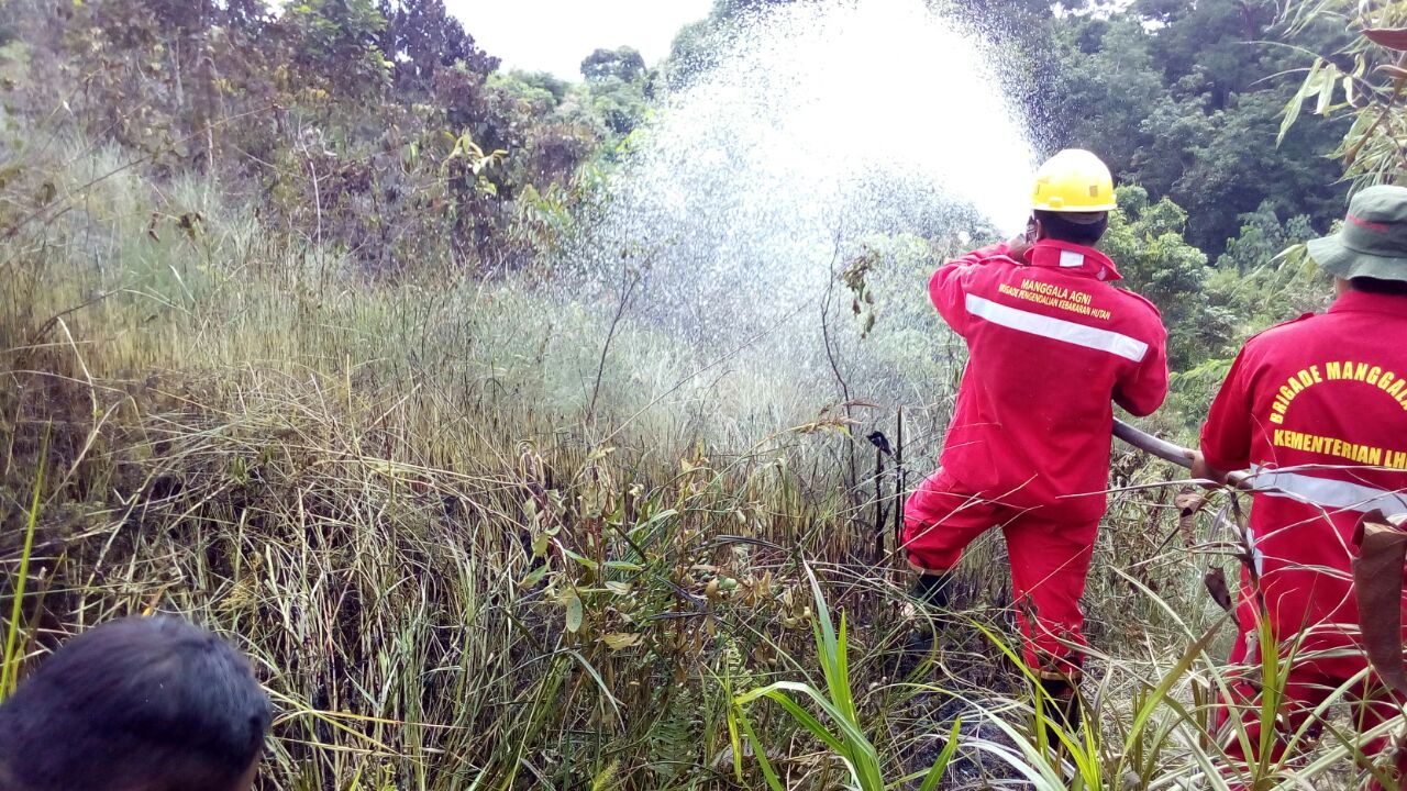 Siaga Padamkan Kebakaran Hutan Dan Lahan Di Sumatera Dan Sulawesi