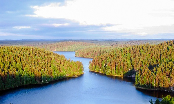 Finland_Landscape 600x400