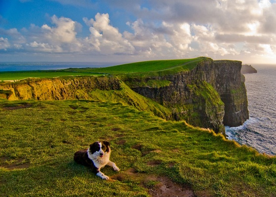 cliffs-of-moher-ireland2 600x400