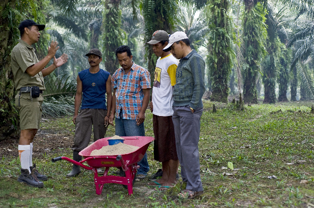 Pola Inti Plasma dari Asian Agri 