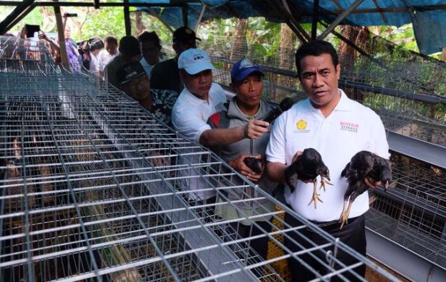 Menteri Pertanian (Mentan) Andi Amran Sulaiman meluncurkan Program Bekerja di Cianjur, Jawa Barat beberapa waktu lalu