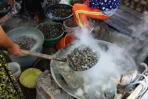 Alat Pengolah Kerang