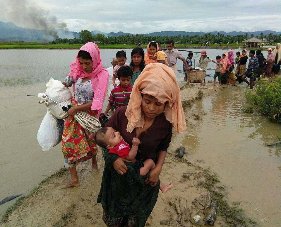 Etnis Rohingya