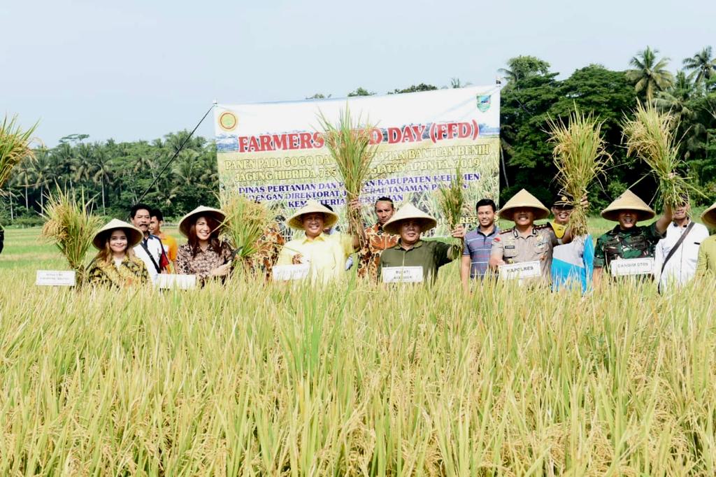 Panen Raya dan Pemberian Bantuan Bibit Jagung Petani di Kebumen - Fakta