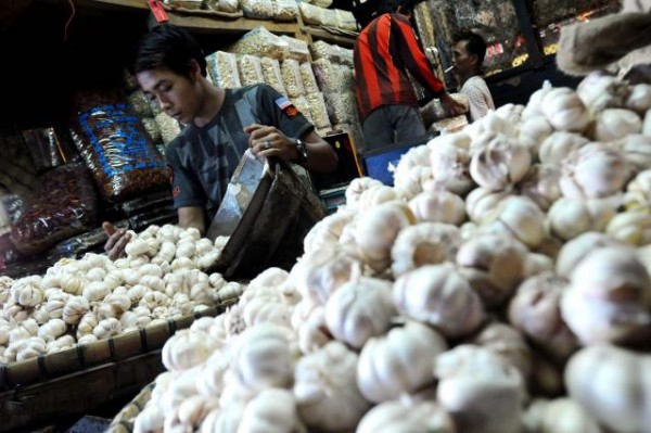 harga bawang putih mengalami penurunan