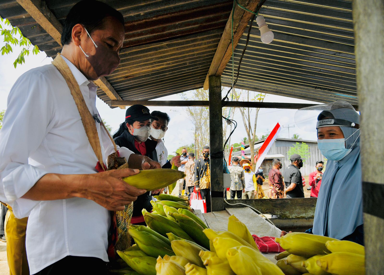 Jokowi beli jagung