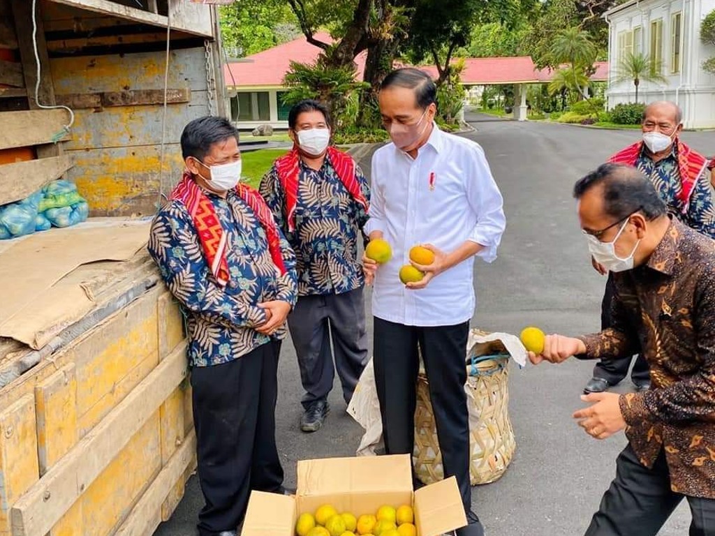 Jokowi terima jeruk