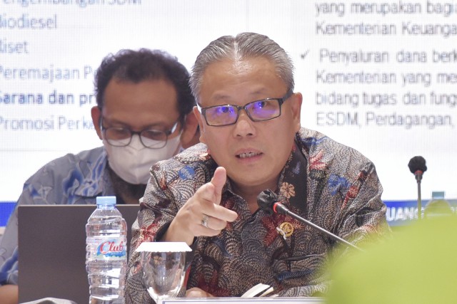 Komisi XI Minta Alokasi Dana Sawit untuk 'Replanting' Harus Diperbesar