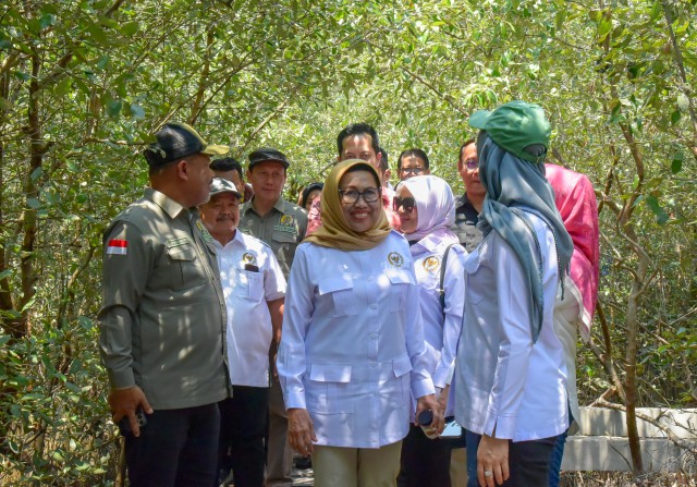 Hilirisasi Produk Mangrove Jadi Alternatif Dongkrak Ekonomi dan Gizi Masyarakat