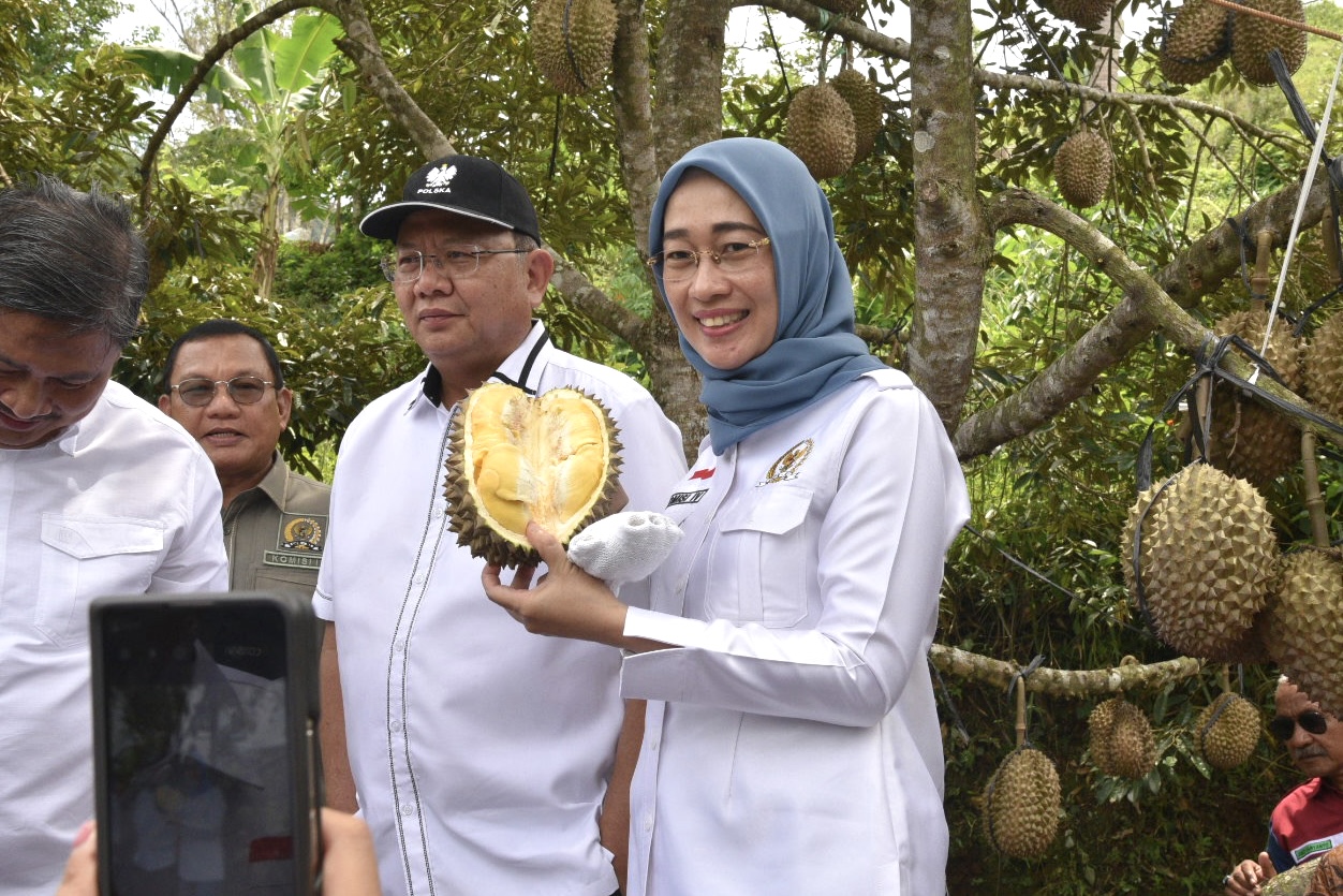 Negara Perlu Mewadahi Kreativitas Petani Milenial dalam Pengembangan Buah Durian di Gunungkidul